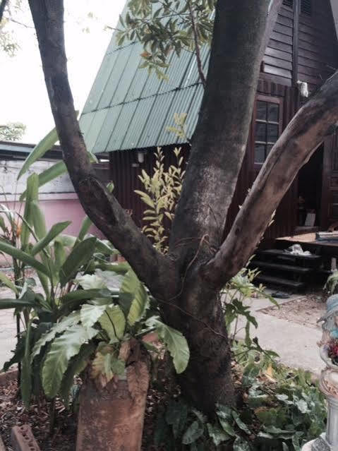 Bnr Resorts Bangkok Exterior photo